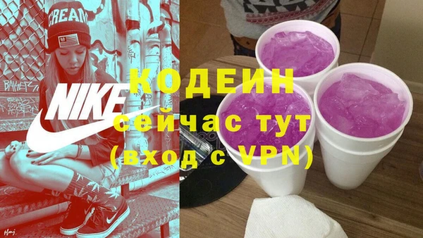 дживик Белокуриха