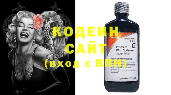 дживик Белокуриха