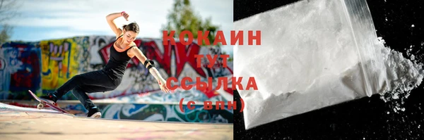 дживик Белокуриха