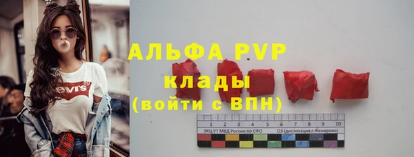 дживик Белокуриха