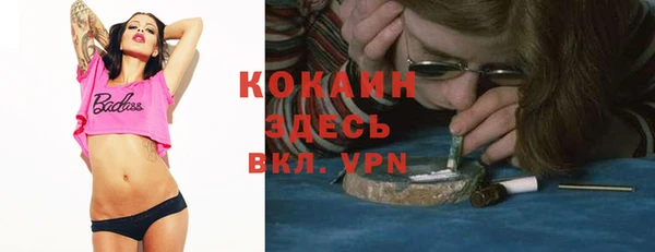 дживик Белокуриха