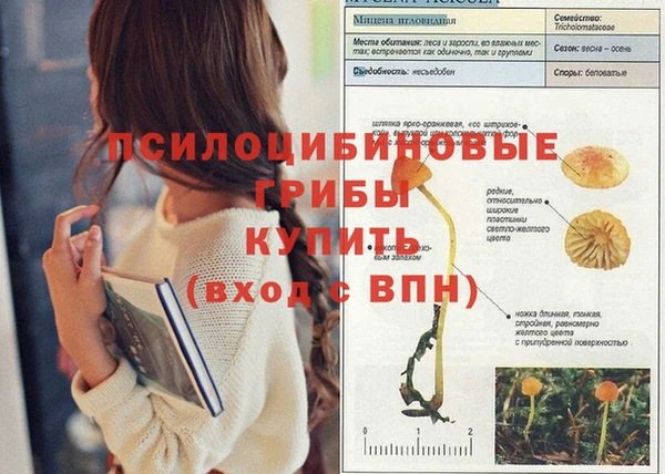спиды Беломорск