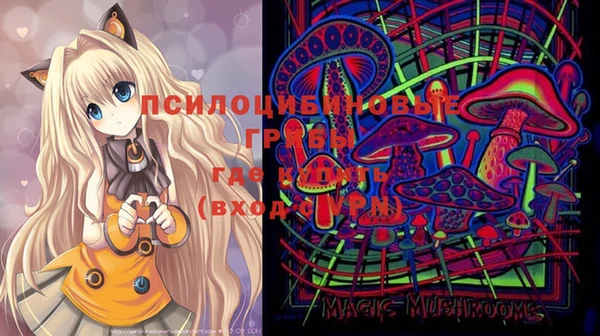 дживик Белокуриха